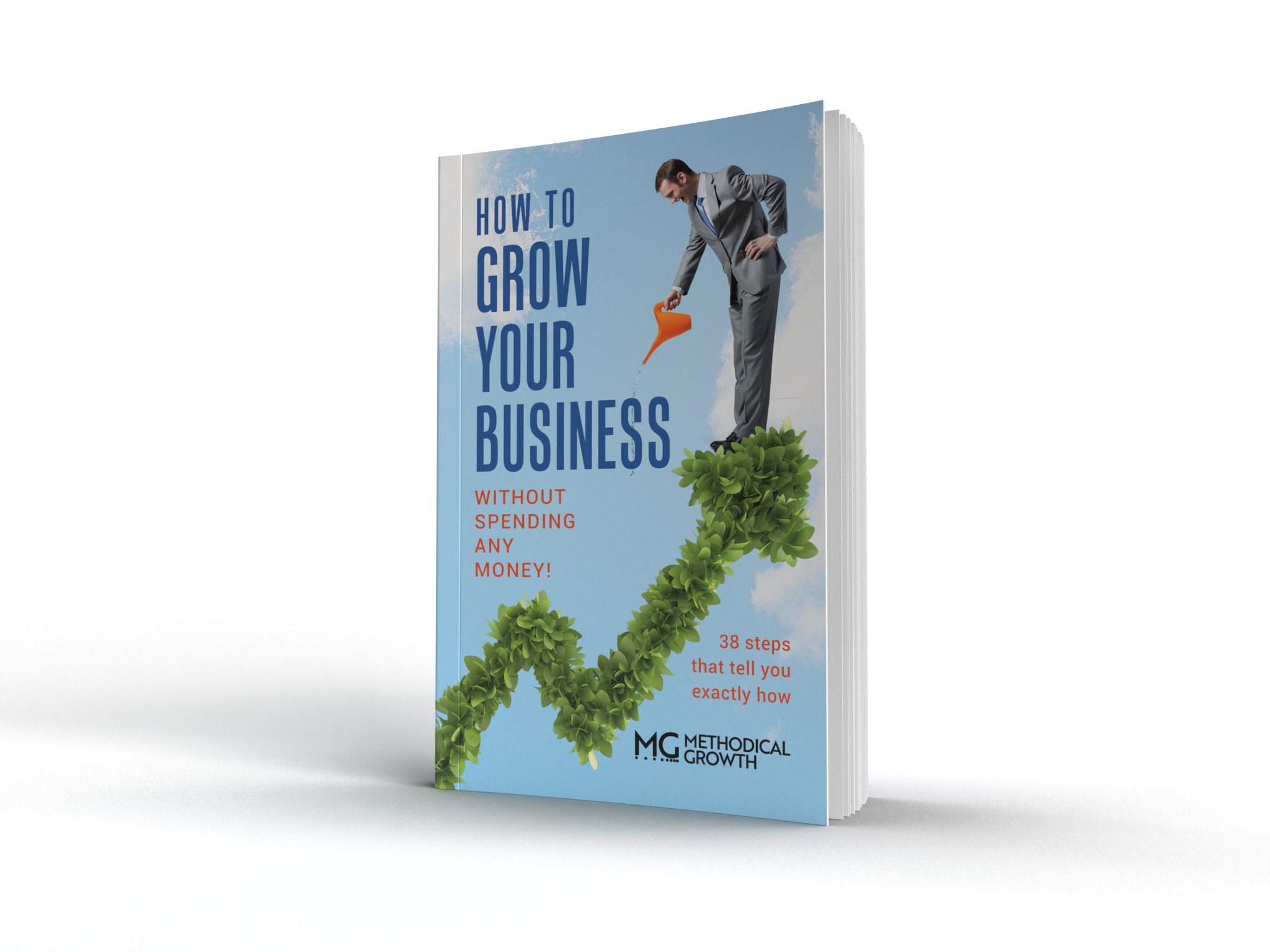 Image of the How To Grow Your Business Without Spending Any Money book